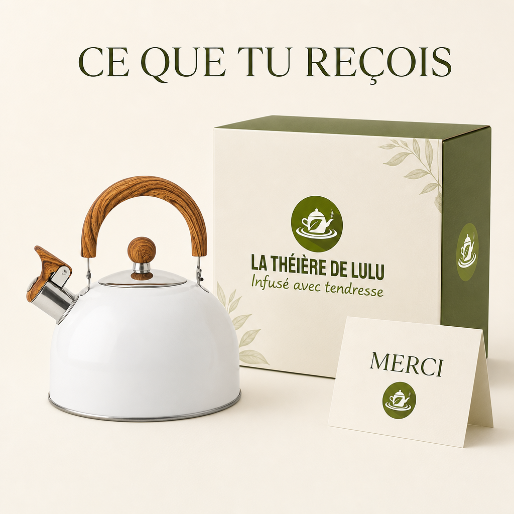 Dans le colis : ta bouilloire, c'est tout
