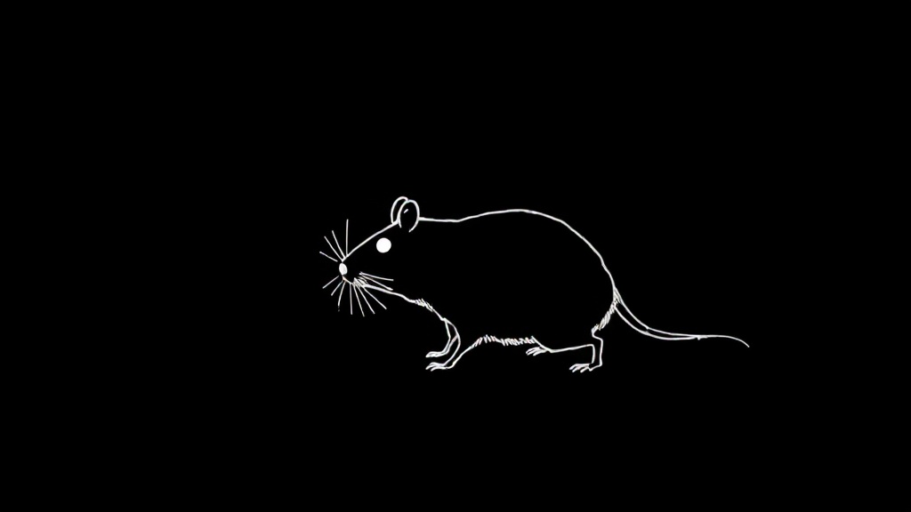 Illustration : Comment savoir si tu es vraiment sorti
